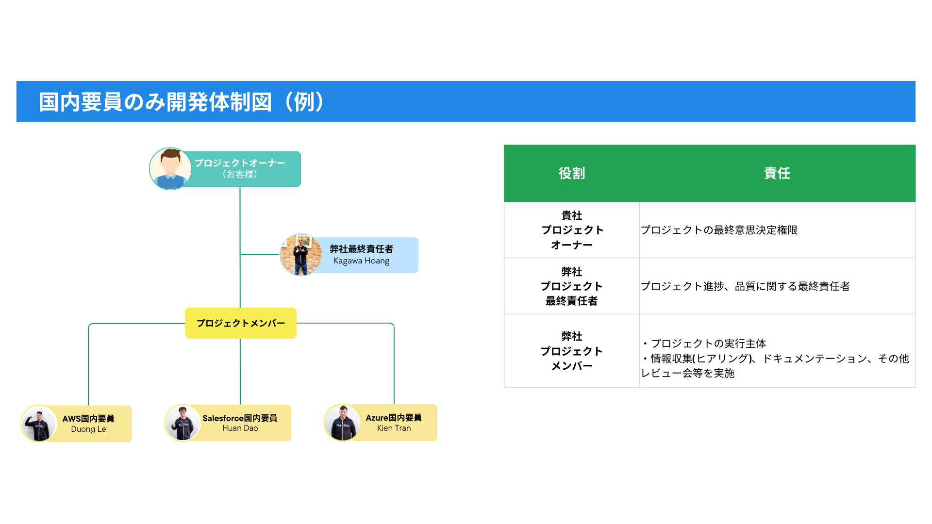 Domestic Software Development Team Structure