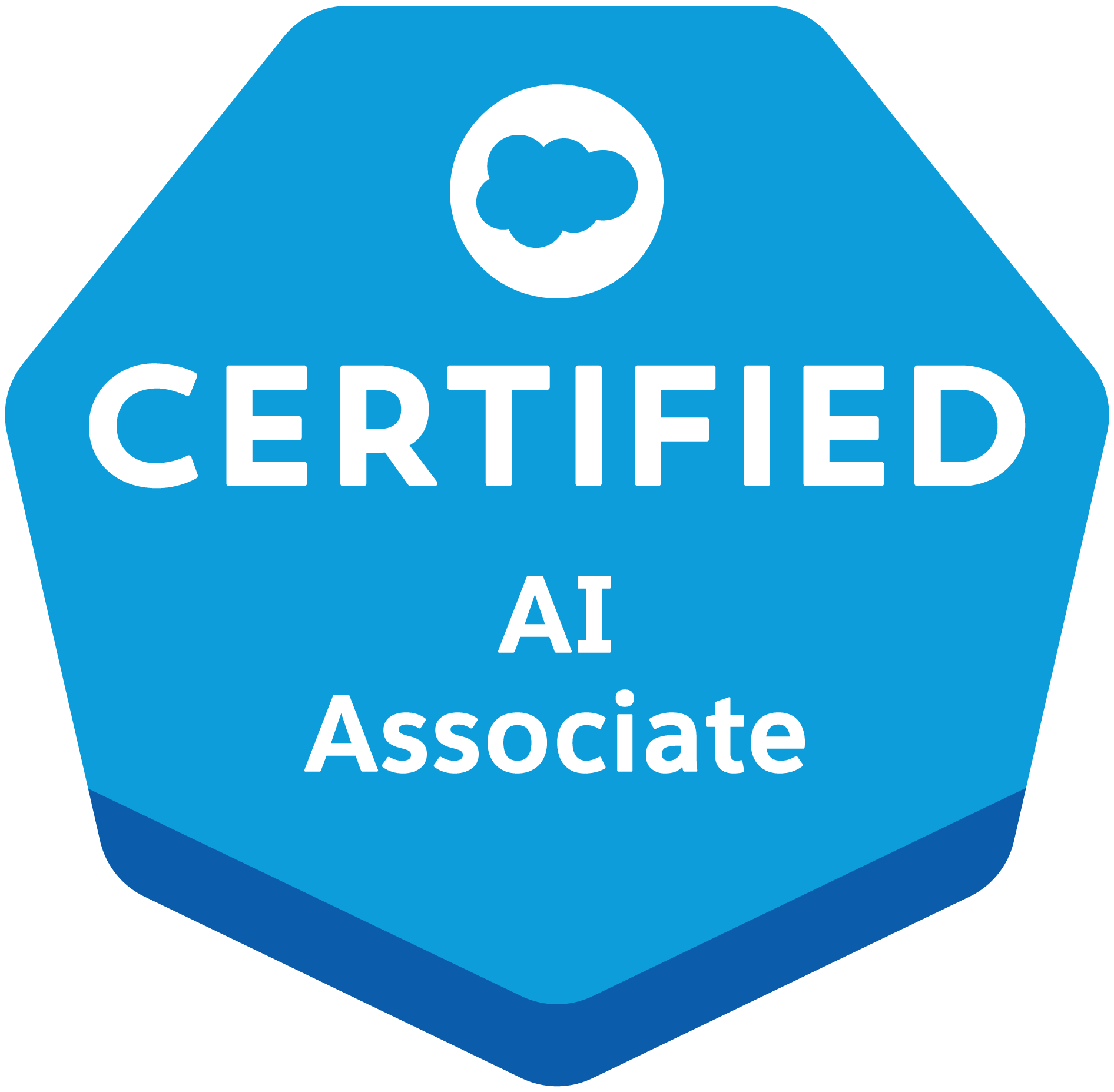 Salesforce Certified AI Associate