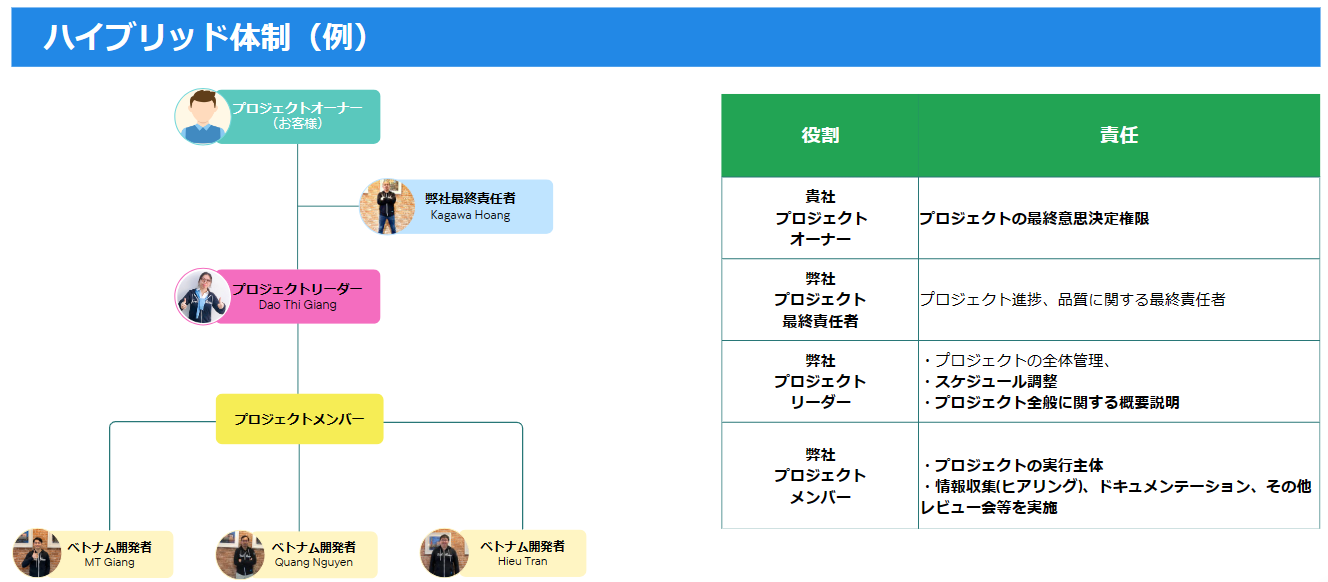 Hybrid Software Development Team Structure
